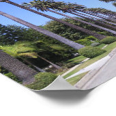 Palm Trees in Los Angeles Poster (Hoek)