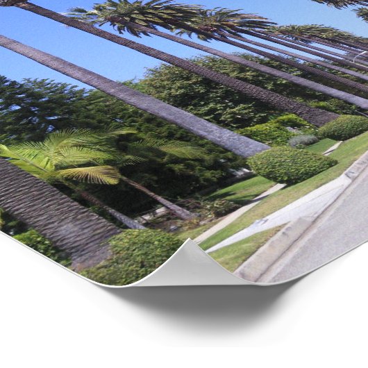 Palm Trees in Los Angeles Poster (Hoek)