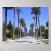 Palm Trees in Los Angeles Poster (Voorkant)