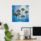 Palm Trees in San Diego, Californië Poster (Thuiskantoor)