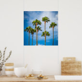 Palm Trees in San Diego, Californië Poster (Keuken)