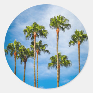 Palm Trees in San Diego, Californië Ronde Sticker