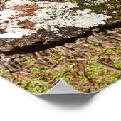 Palm Trees langs Hideaways Beach Poster (Hoek)