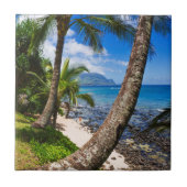 Palm Trees langs Hideaways Beach Tegeltje (Voorkant)