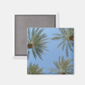 Palm Trees Magnet (Voorkant / Achterkant)