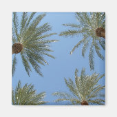 Palm Trees Magnet (Voorkant)