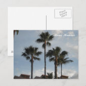 Palm Trees Maui Hawaii Briefkaart (Voorkant / Achterkant)
