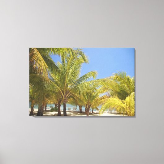 Palm Trees op een Honduras White Sand Beach Canvas Afdruk (Voorkant)