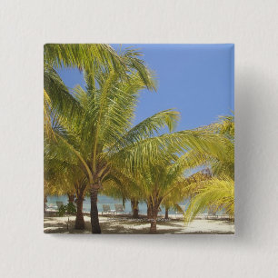 Palm Trees op een Honduras White Sand Beach Vierkante Button 5,1 Cm