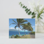 Palm Trees op het eiland Taha' Tahiti Briefkaart (Staand voorkant)