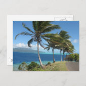 Palm Trees op het eiland Taha' Tahiti Briefkaart (Voorkant / Achterkant)