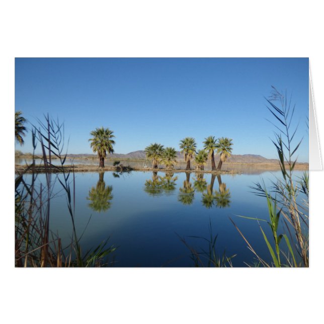 Palm Trees reflecteerde (Voorkant Horizontaal)