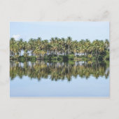 Palm Trees reflecteerde Briefkaart (Voorkant)