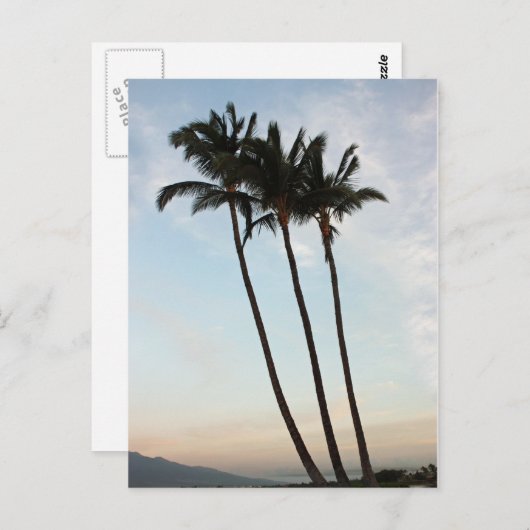 Palm Trees & Sunset Briefkaart (Voorkant / Achterkant)