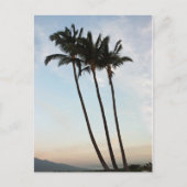 Palm Trees & Sunset Briefkaart (Voorkant)