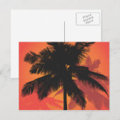 Palm Trees Sunset Silhouettes Briefkaart (Voorkant / Achterkant)