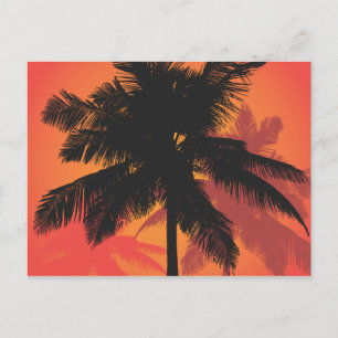 Palm Trees Sunset Silhouettes Briefkaart