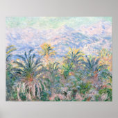 Palm Trees te Bordighera (1884) door Claude Monet Poster (Voorkant)