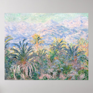 Palm Trees te Bordighera (1884) door Claude Monet Poster