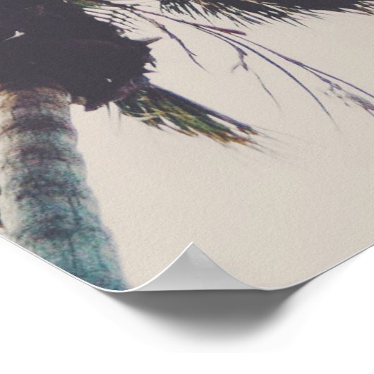 Palm Trees tegen een foto van Turquoise Sky Poster (Hoek)