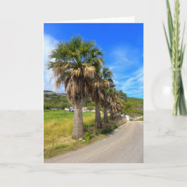 Palm Trees Zakynthos Griekenland Kaart