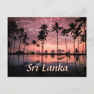 Palm Trein op Negombo Beach Sri Lanka Briefkaart