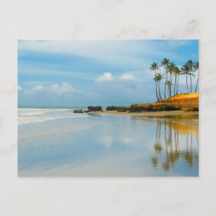 Palm Tropical Beach Coastal Destiny's Destiny Briefkaart