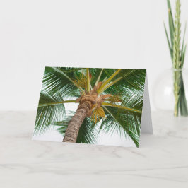 Palm van neer hieronder kaart