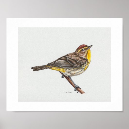 Palm Warbler Art Print (Voorkant)