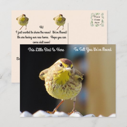 Palm Warbler - Bird New Address Post Kaart (Voorkant / Achterkant)