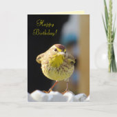 Palm Warbler - Bird Series Birthday Kaart (Voorkant)