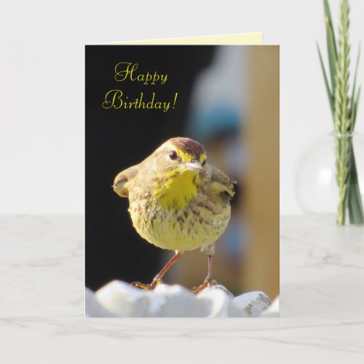 Palm Warbler - Bird Series Birthday Kaart (Voorkant)