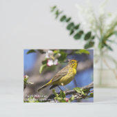 Palm Warbler Briefkaart (Staand voorkant)