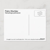 Palm Warbler Briefkaart (Achterkant)