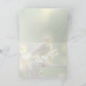 Palm Warbler Kaart (Binnen)