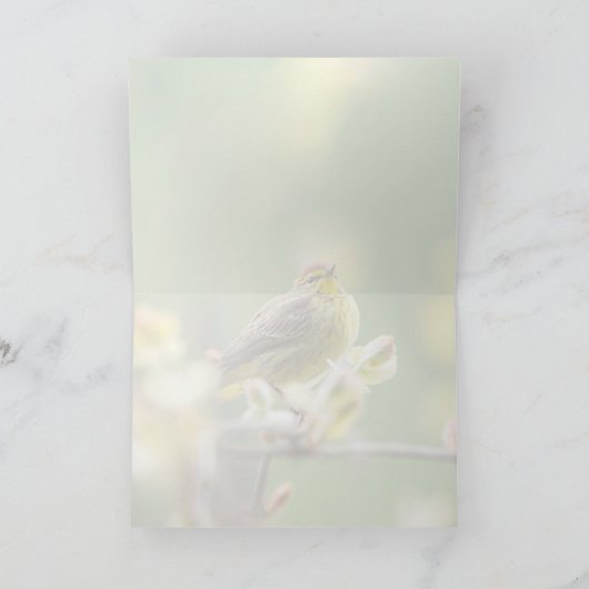 Palm Warbler Kaart (Binnen)