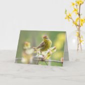 Palm Warbler Kaart (Gele Bloem)