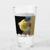 Palm Warbler - Rugwerende vogelserie - glas (Voorkant)