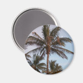 Palm wordt opgeborgen magneet (Voorkant / Achterkant)