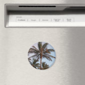 Palm wordt opgeborgen magneet (Insitu (Vaatwasser))