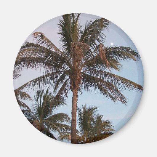 Palm wordt opgeborgen magneet (Voorkant)