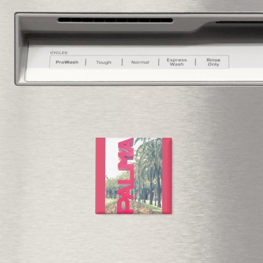 Palma Magneet (Insitu (Vaatwasser))