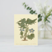 Palmated Violet Blue Illustration Briefkaart (Staand voorkant)