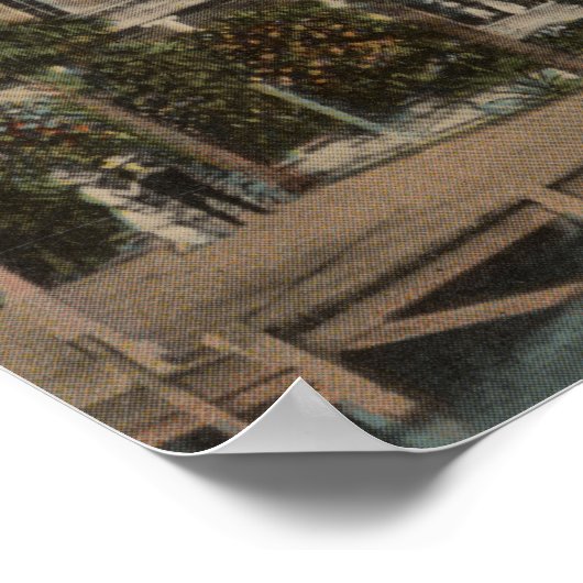 Palmbedekking, FL — Uitzicht buitenzijde palmbedek Poster (Hoek)