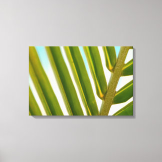 Palmblad Foto Canvas Afdruk