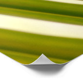 Palmblad Foto Poster (Hoek)