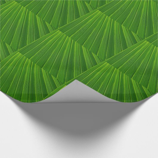 Palmblad inpakpapier (Hoek)