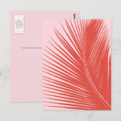 Palmblad - Koraal en schelproze Briefkaart (Voorkant / Achterkant)