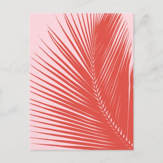 Palmblad - Koraal en schelproze Briefkaart (Voorkant)
