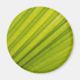 Palmblad Magneet